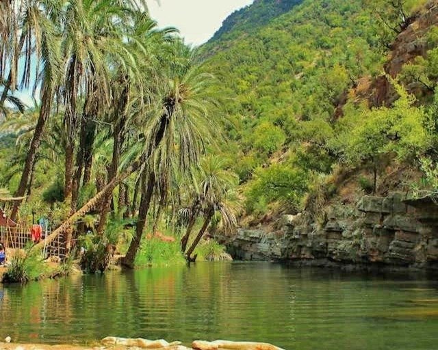 From Agadir Or Taghazout/ Paradise Valley excursion