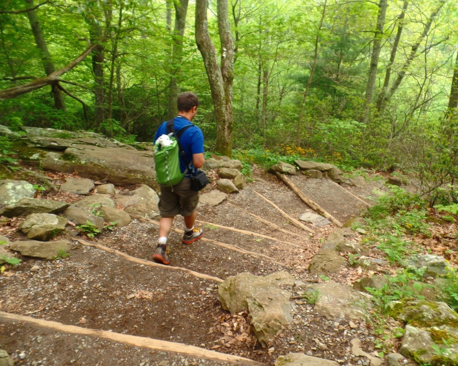 Agadir Atlas Mountain Hike with local Breakfast