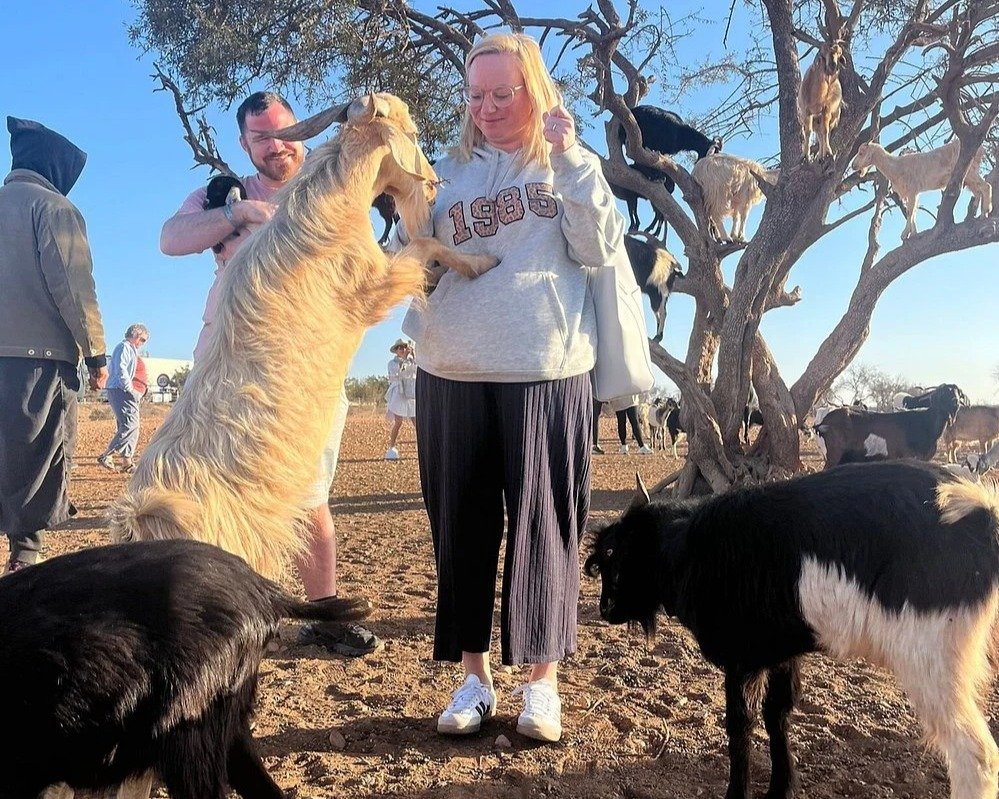 From Agadir Gaots en trees and Crocoparc ticket