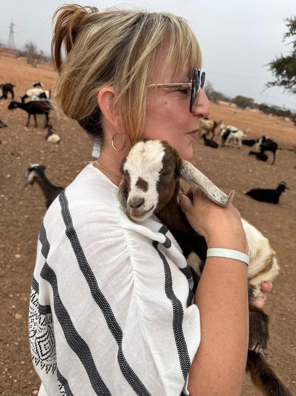 Tree-Climbing Goats & Argan Wonders: A Wild Moroccan Experience from Agadir
