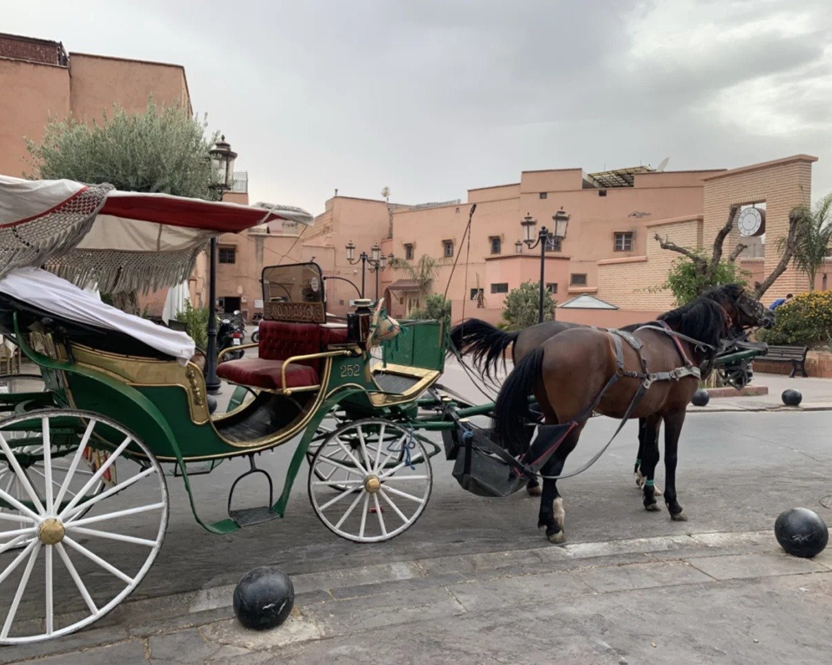 Depuis Taghazout / Tamraght : Excursion guidée d'une journée à Marrakech