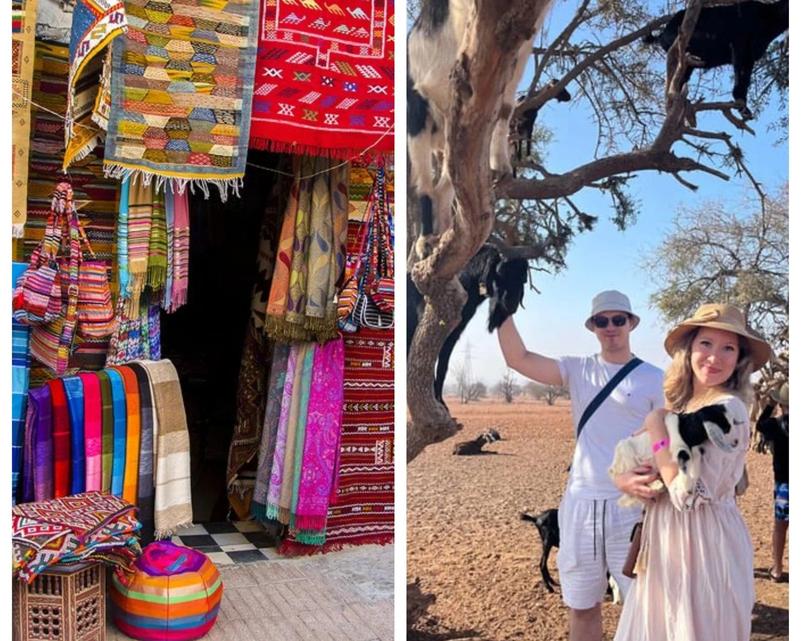De Taghazout / Tamraght, visite des chèvres et du Souk El Had