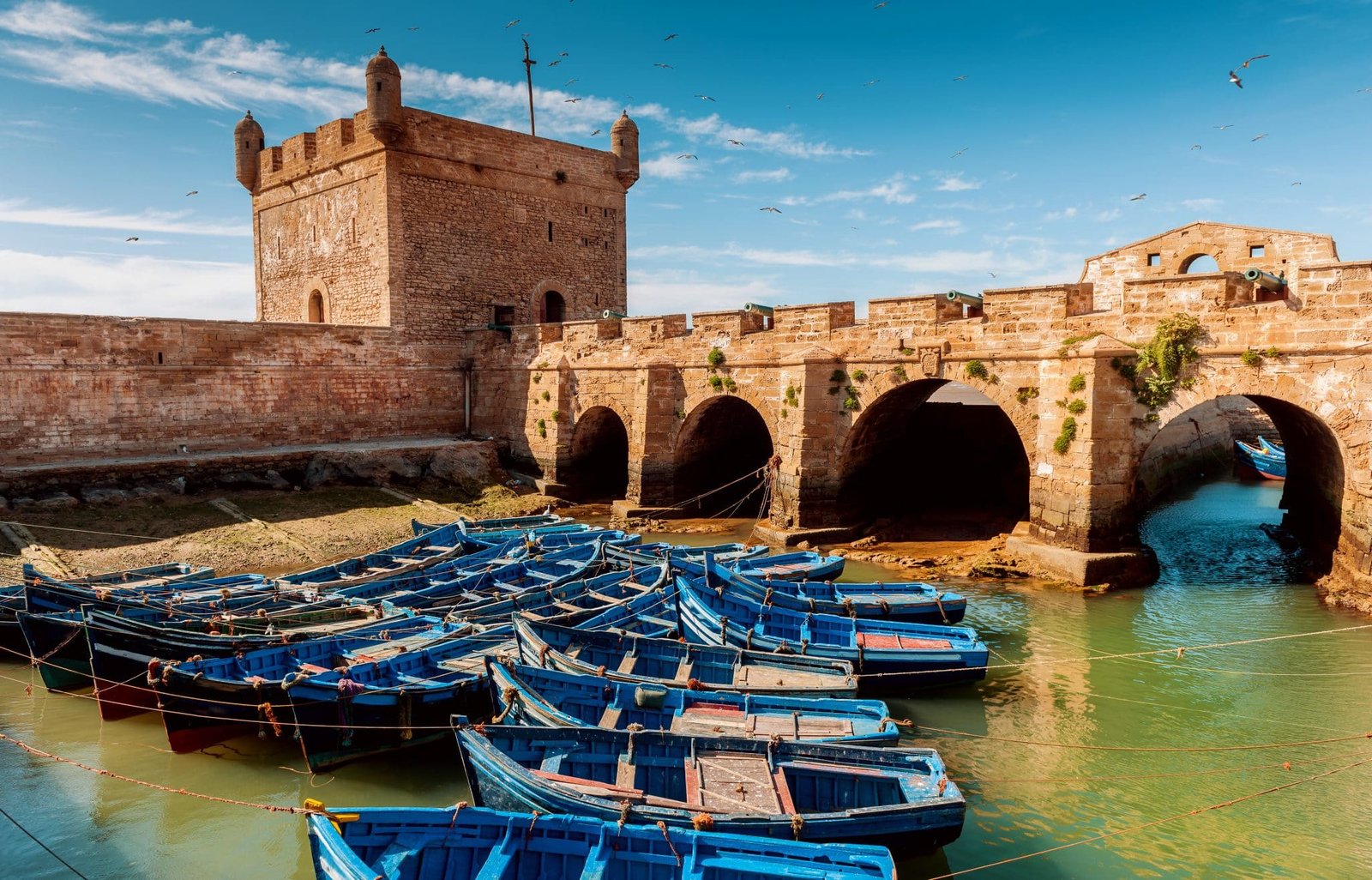 Essaouira One Day Trip From Agadir oR Taghazout