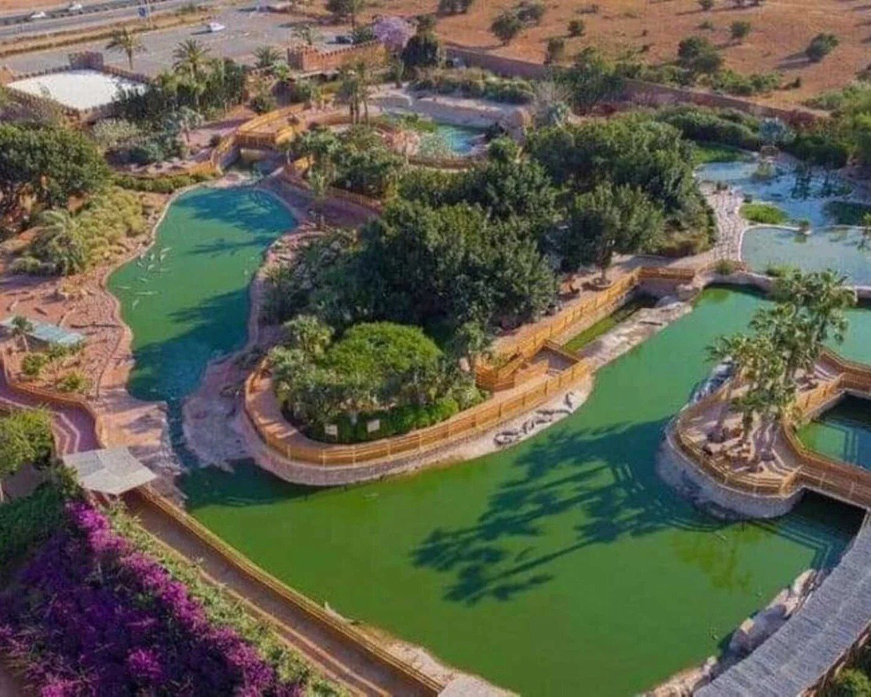 Agadir: Quad Bike Safari Adventure with Crocopark Ticket