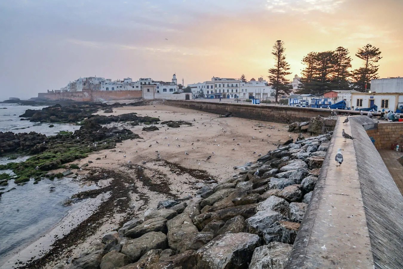 Why Visit Essaouira?