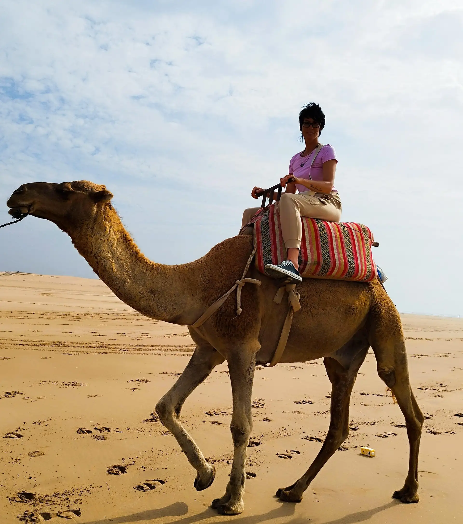 Camel Ride in Essaouira: Best Tours, Prices & Complete Guide
